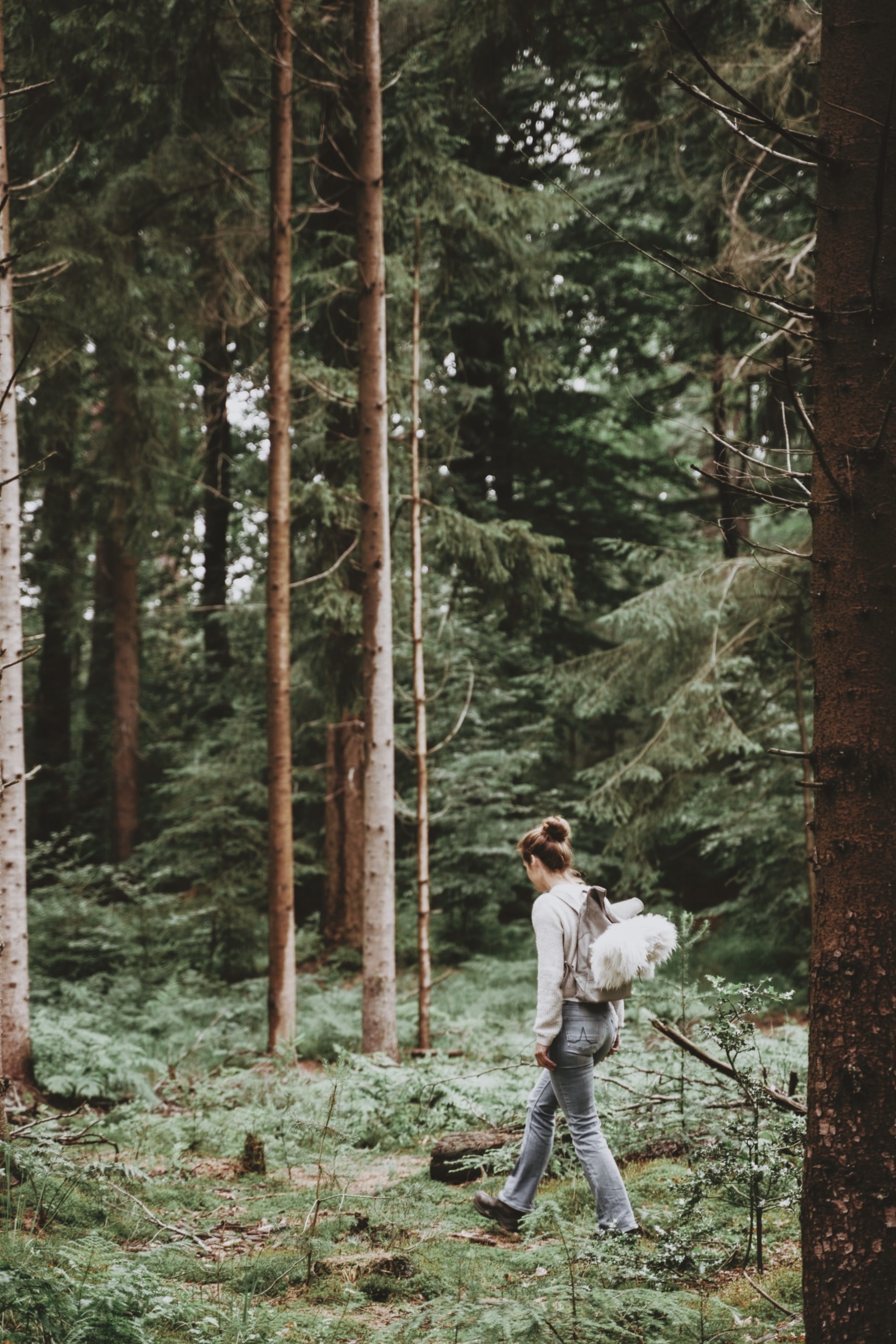 wandelcoaching, natuurcoaching, coaching in het bos.