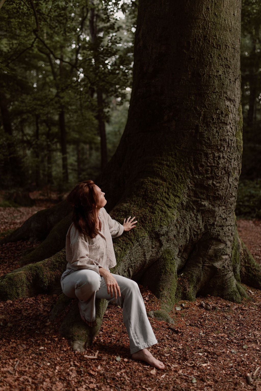 ForRest. Forest, Bosbaden, Shinrin Yoku