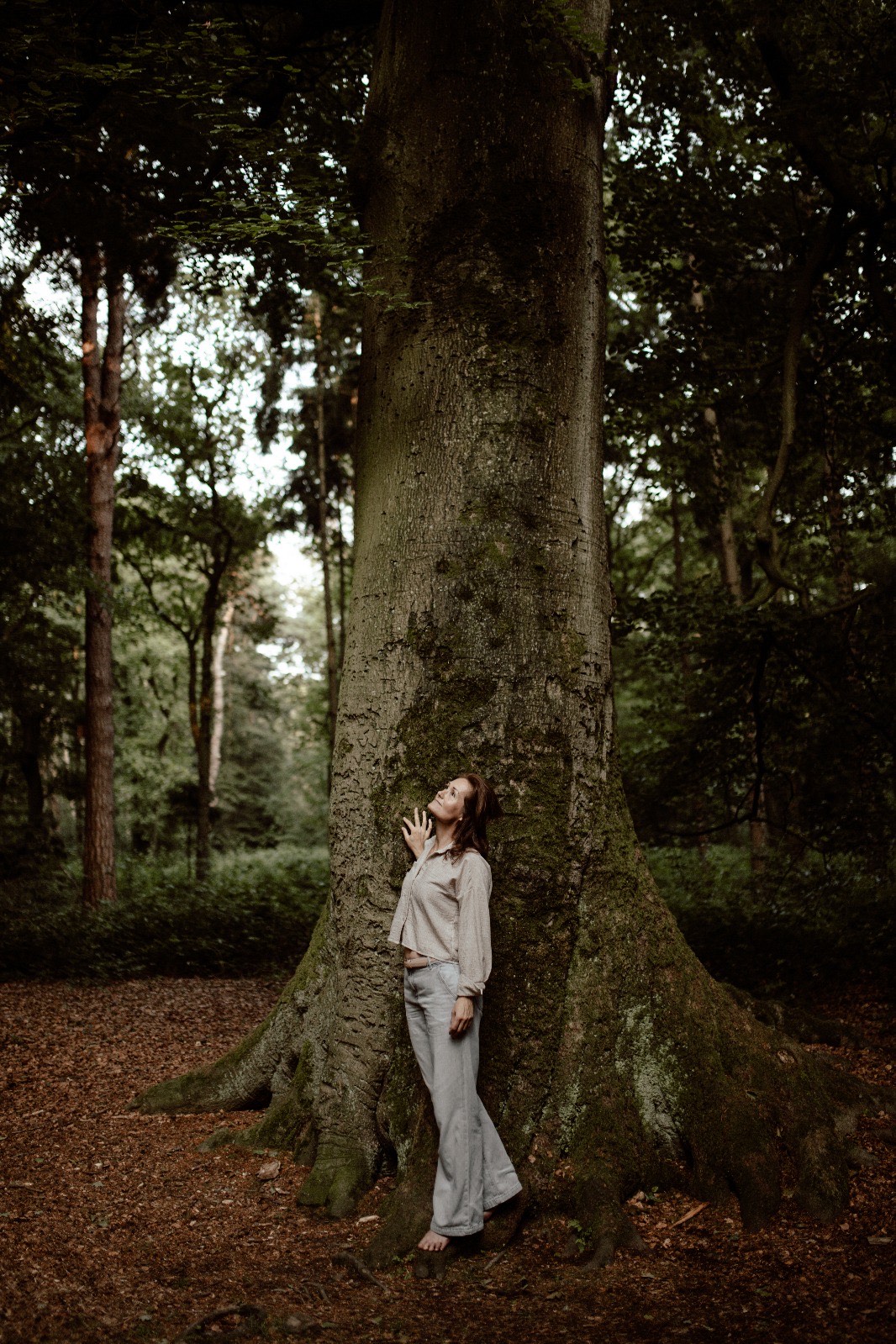 Forest Wanderess